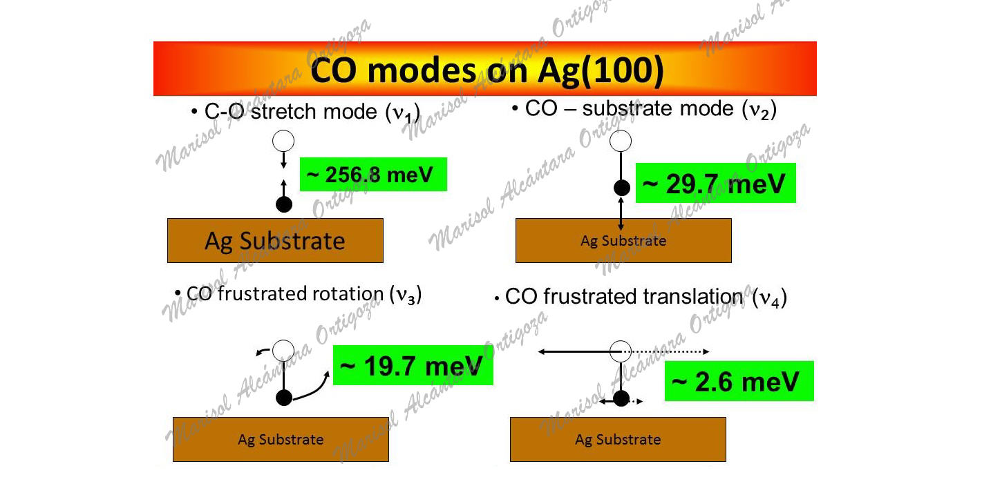 New answers to old questions Part II: Vibrational dynamics of CO on Ag(001)