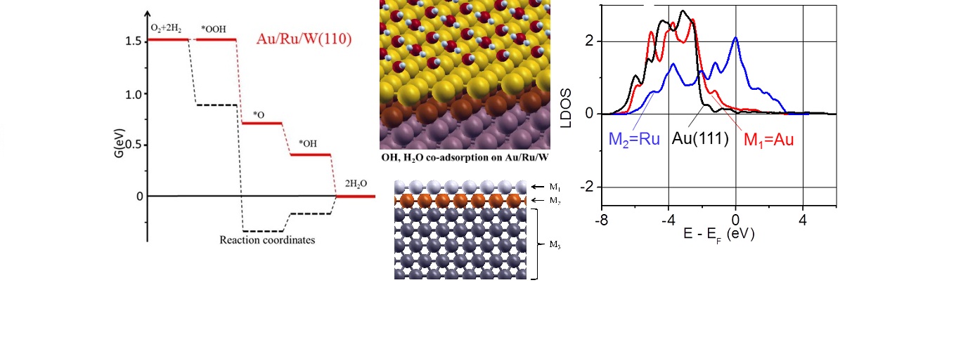 Rational Design of Competitive Electrocatalysts for Hydrogen Fuel Cells